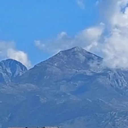 D Friendship Shkodër