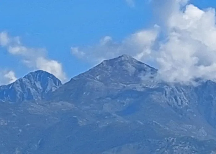 D Friendship Shkodër