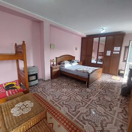 D Friendship * Shkodra