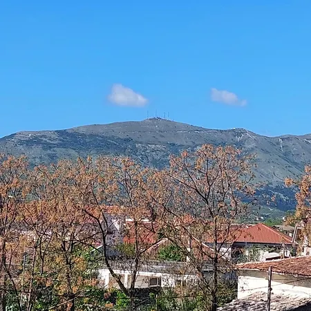 D Friendship * Shkodër