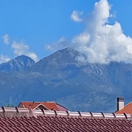 D Friendship * Szkodra