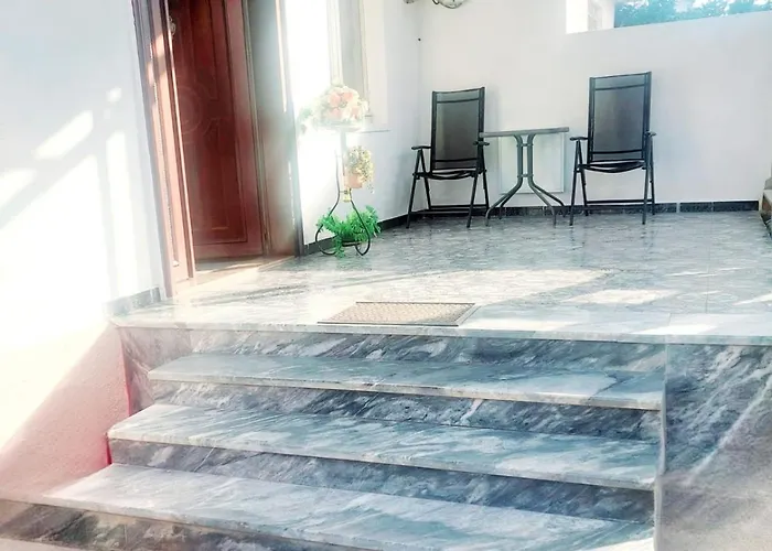 Apartment D Friendship