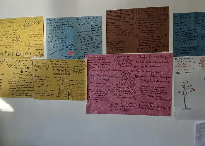 D Friendship * Szkodra