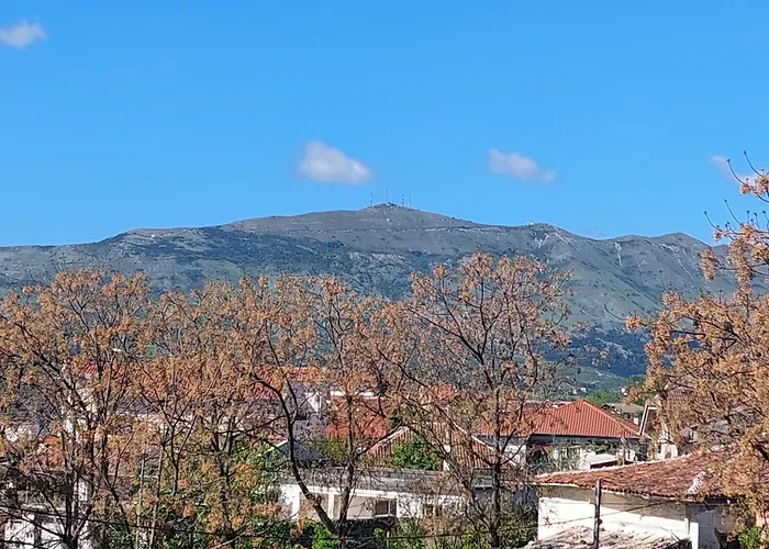 D Friendship * Shkodra