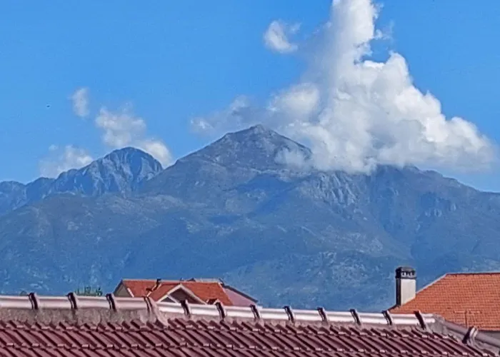 D Friendship * Szkodra