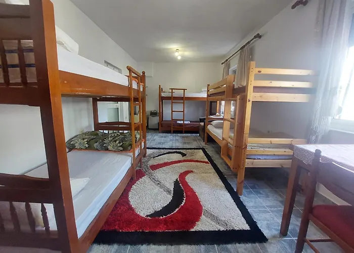 D Friendship Shkodra